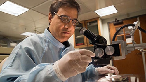 Using a binocular microscope, Dartmouth geochemist Mukul Sharma examines impact-derived spherules that he and his colleagues regard as evidence of a climate-altering meteor or comet impact 12,900 years ago. (Photo by Eli Burakian ’00)
